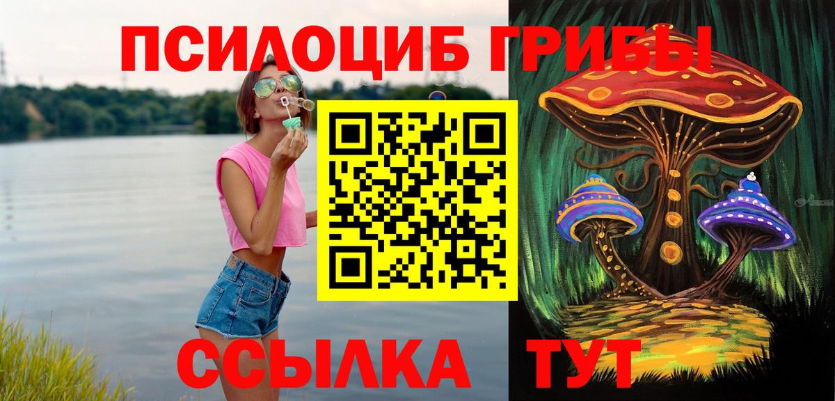 Псилоцибиновые грибы мицелий Ахтубинск