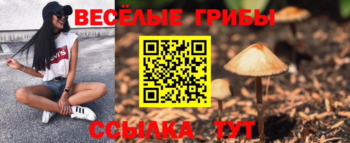 Псилоцибиновые грибы мицелий  Вход с VPN  Ахтубинск  Галлюциногенные грибы GOLDEN TEACHER 